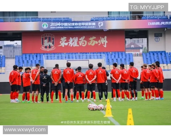 深入探讨杭州排球队的战术配合与队员默契程度分析