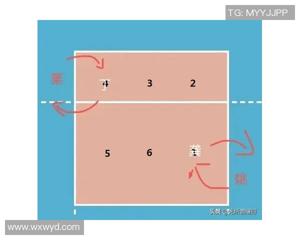 深圳排球队战术解析与对比研究揭示球队竞争力提升之道