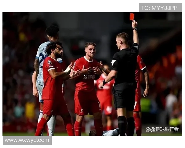 足球明星因争议判罚情绪失控一脚踢晕裁判引发赛场风波