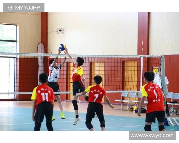 重庆排球队的精神探索与排球文化传承之旅 重庆排球队的精神探索与排球文化传承之旅