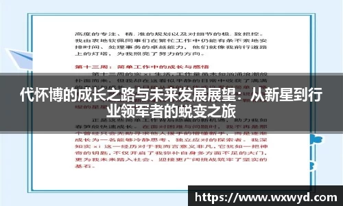 代怀博的成长之路与未来发展展望：从新星到行业领军者的蜕变之旅