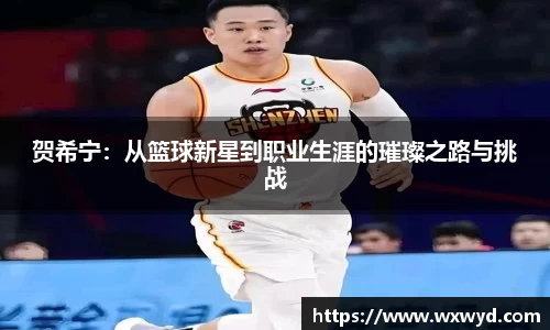贺希宁：从篮球新星到职业生涯的璀璨之路与挑战
