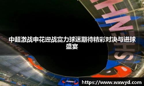 中超激战申花迎战富力球迷期待精彩对决与进球盛宴
