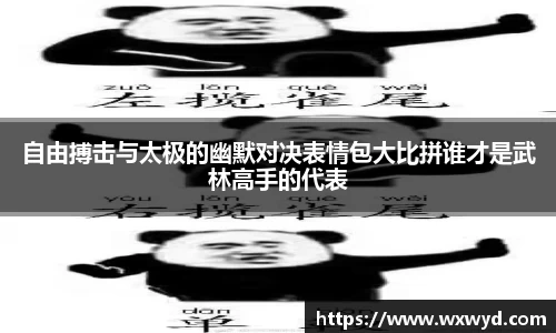 自由搏击与太极的幽默对决表情包大比拼谁才是武林高手的代表